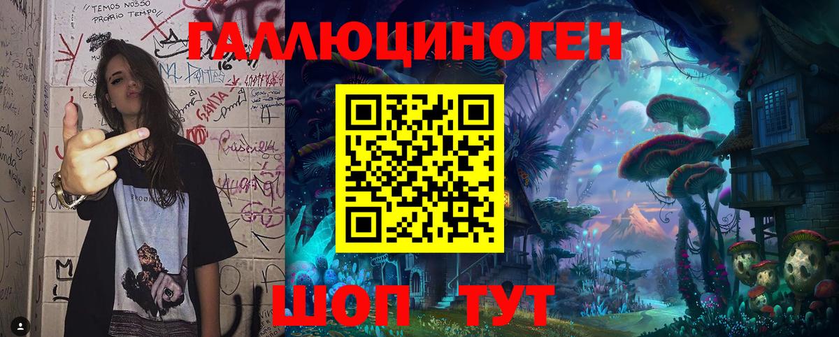 Саянск  Псилоцибиновые грибы Psilocybe  Вход с VPN 