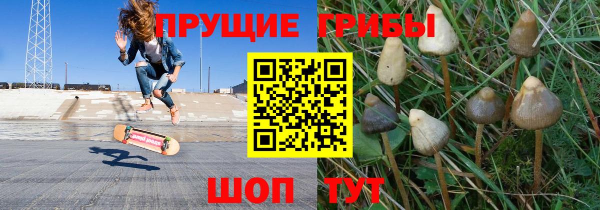 Галлюциногенные грибы прущие грибы Саянск